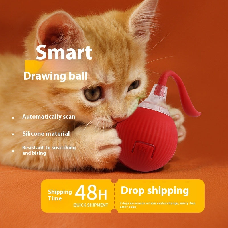 Self-Rolling Interactive Cat Toy Ball - Smart Auto-Play Ball for Indoor Cats | USB Rechargeable