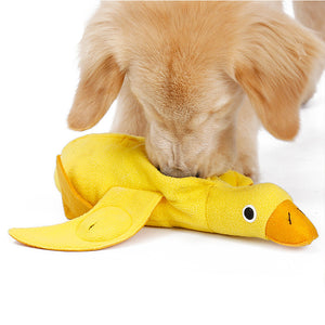 Dog playing with a yellow duck-shaped toy on a white background