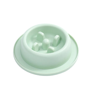 Light green pet feeder on a white background