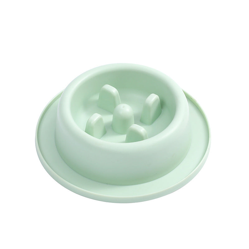 Light green pet feeder on a white background