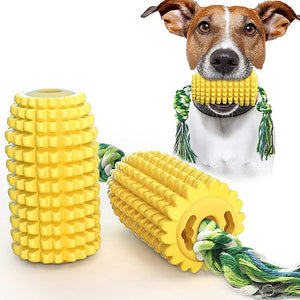Dog with yellow chew toys featuring textured surfaces and green rope