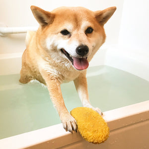 Dog with a yellow ball in a bathtub