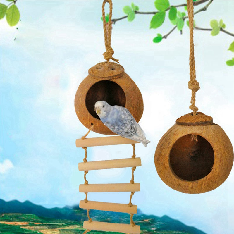 Natural Coconut Shell Bird Nest with Ladder