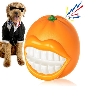 Dog in a suit next to an orange toy with a mouth design on a white background