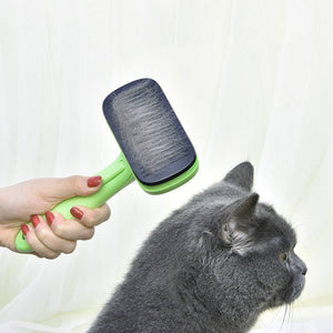 Person using a green pet grooming brush on a gray cat against a white background