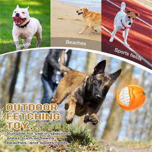 Dog playing with a ball in a park with text about outdoor fetching toy suitability.