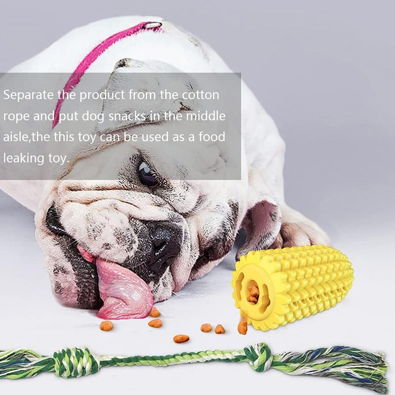 Dog with a chew toy and cotton rope on a light gray background