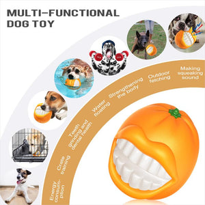 Multifunctional dog toy with images of dogs playing and text describing its uses.