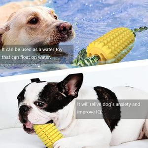 Dog playing with a yellow corn-shaped toy in water and on land.