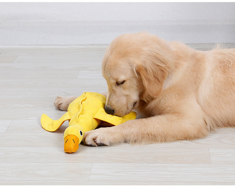 Dog playing with a yellow rubber duck toy on a light wooden floor.
