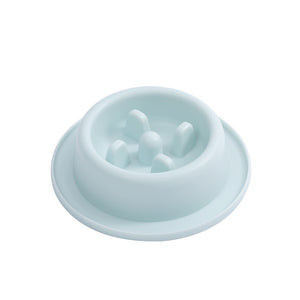 Light blue pet feeder on a white background