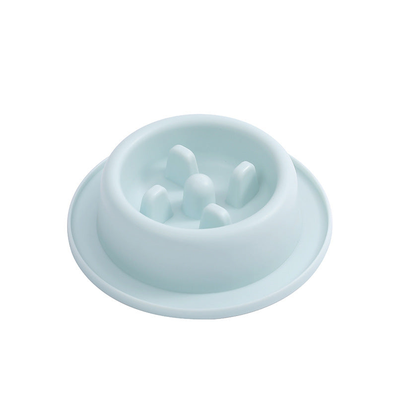 Light blue pet feeder on a white background