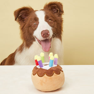 Dog with a plush birthday cake toy featuring candles on a beige background
