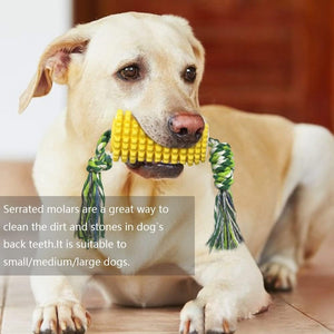 Dog chewing on a yellow dog toy with text about its benefits.