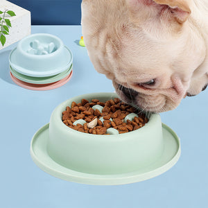 Dog eating from a green bowl filled with kibble on a light blue surface.