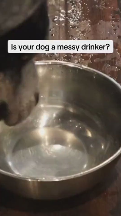 1.mp4