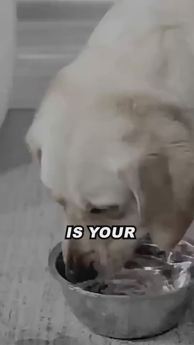 1.mp4